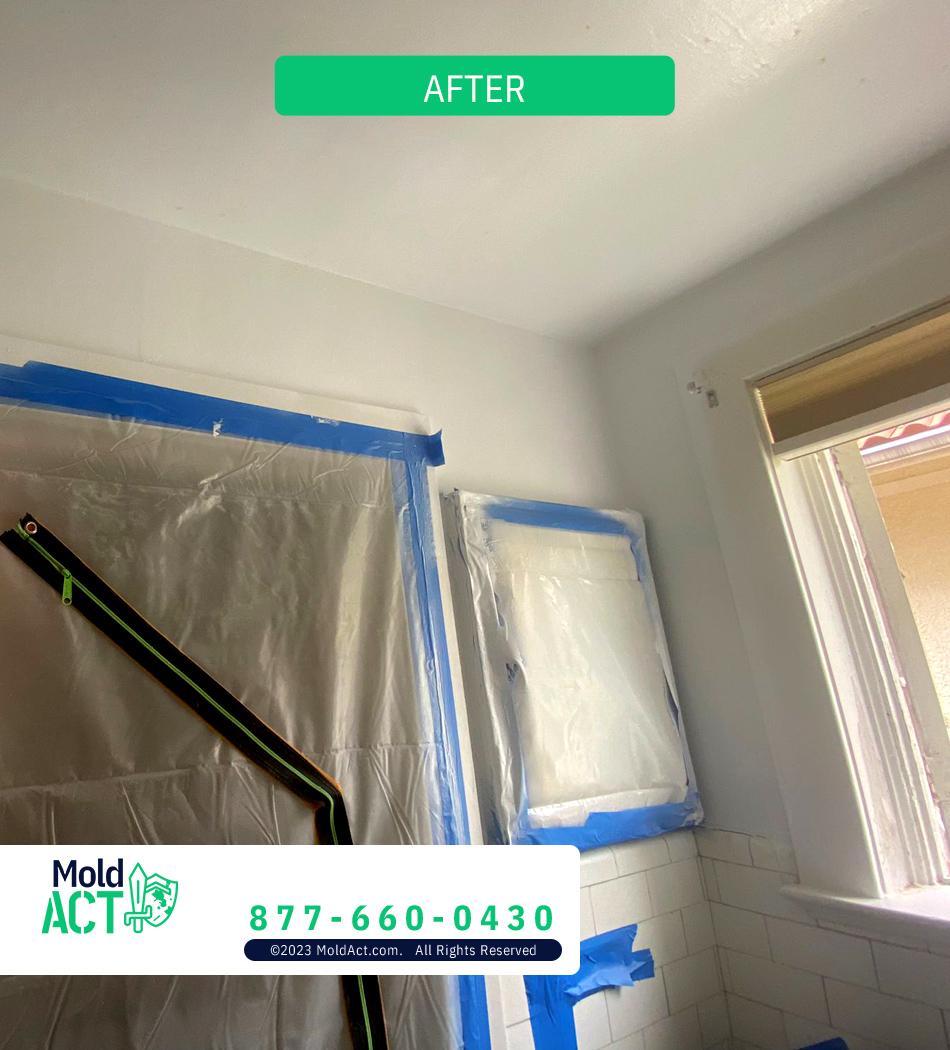 After mold remediation — clean, restored surface