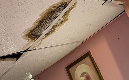 How to Remove Mold from Your Ceiling