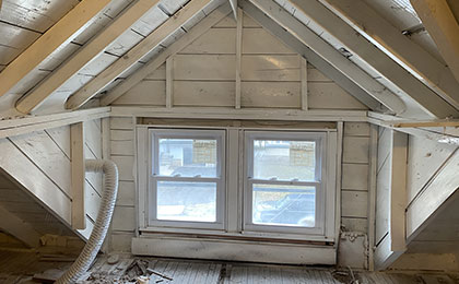 Mold in the Attic: What Every Homeowner Needs to Know