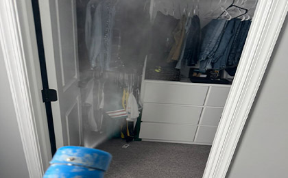 Mold in Closet: How to Spot and Remove