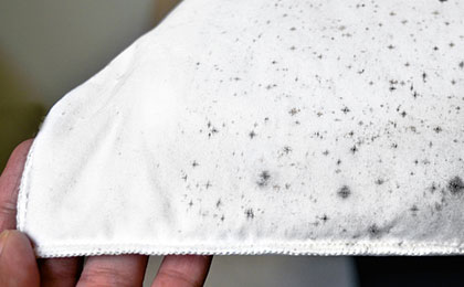 Mold on Clothes: Causes, Risks, and How to Remove It Effectively