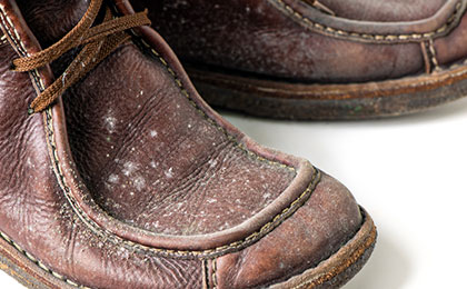 Mold on Shoes in Closet: Causes, Cleaning Methods, and Prevention Tips