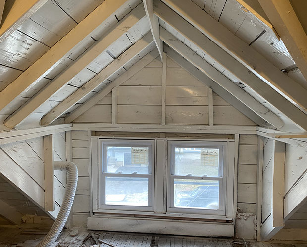 Mold in the Attic: What Every Homeowner Needs to Know