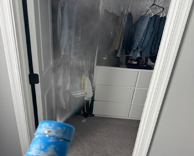 Mold in Closet: How to Spot and Remove