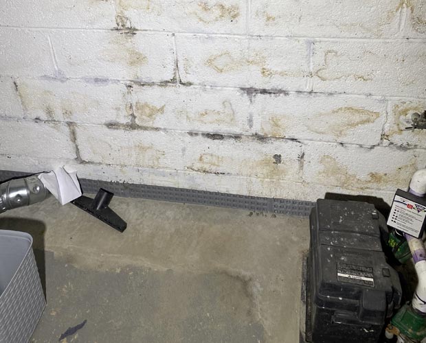 Structural drying and dehumidification equipment set up in a flooded basement to prevent mold growth