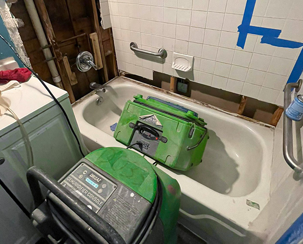 Mold growth along bathroom tile and grout caused by excess moisture and poor ventilation
