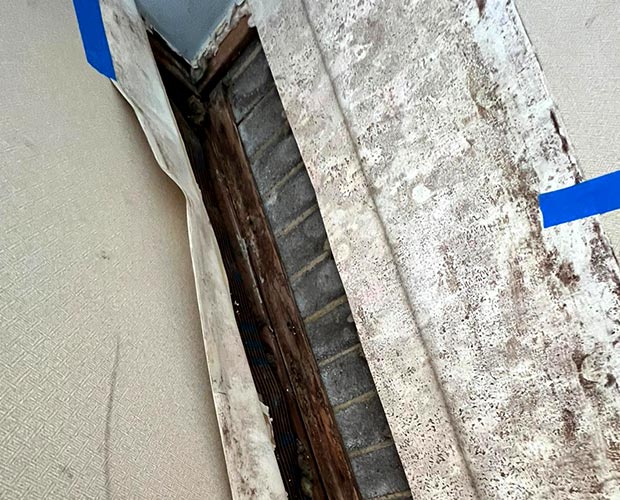 Comparison of DIY cleaning supplies against professional mold remediation equipment