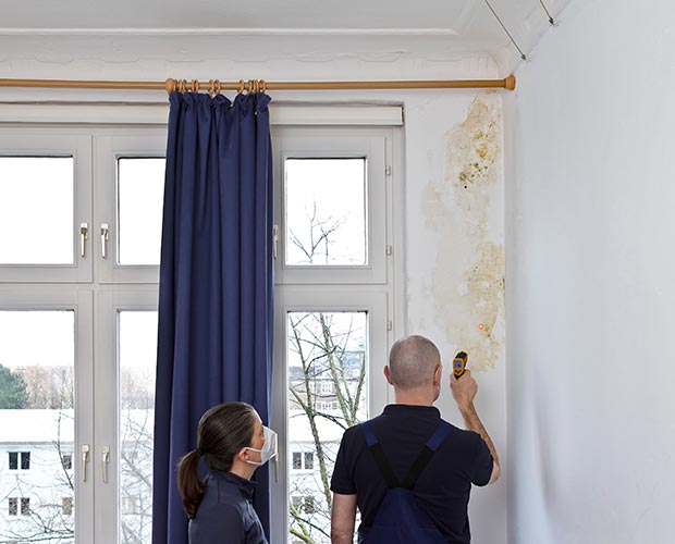 Indoor mold growth, a recognised trigger for asthma flare-ups in sensitised occupants