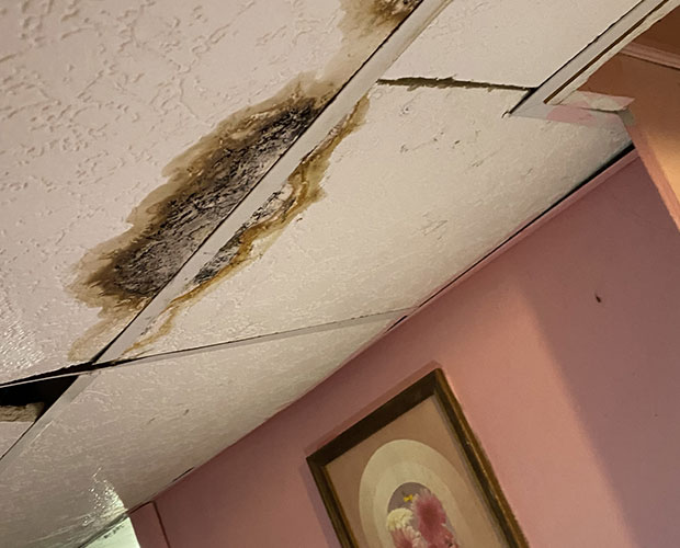 Mold stain spreading across a ceiling, a common sign of a hidden moisture source above