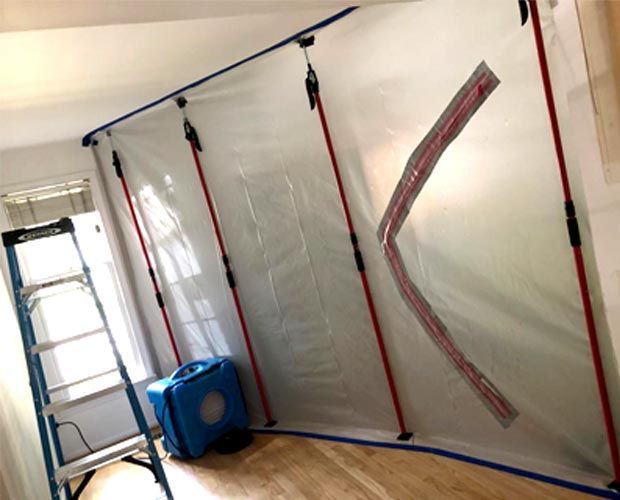 Mold remediation technician working through the containment and removal steps of the IICRC S520 process