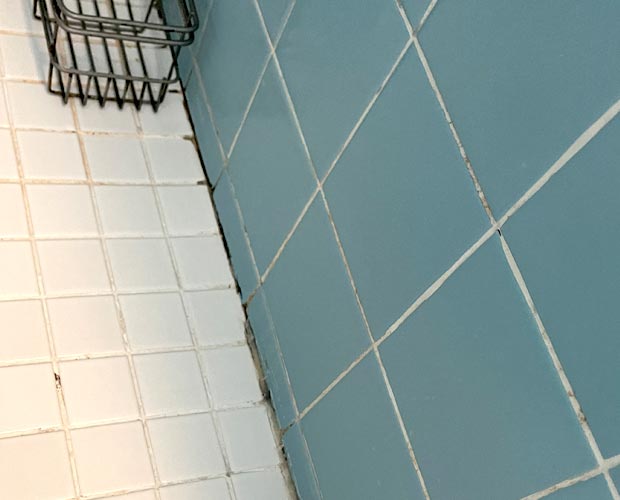 Mold growth along shower tile grout caused by trapped moisture and inadequate ventilation