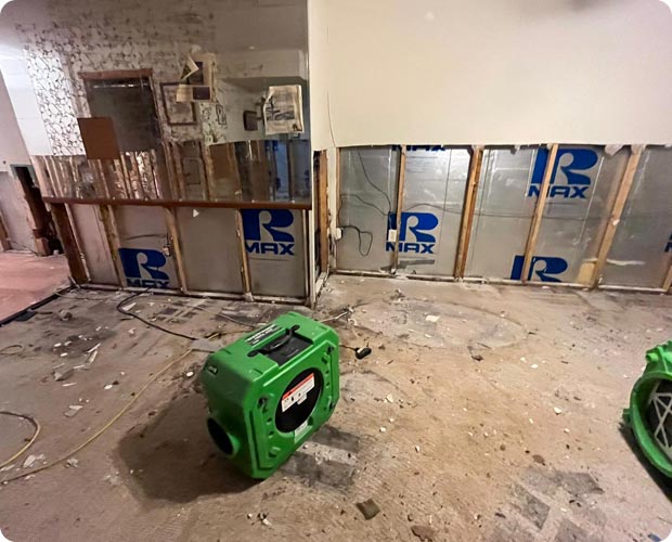 Technician performing mold remediation work in a residential basement